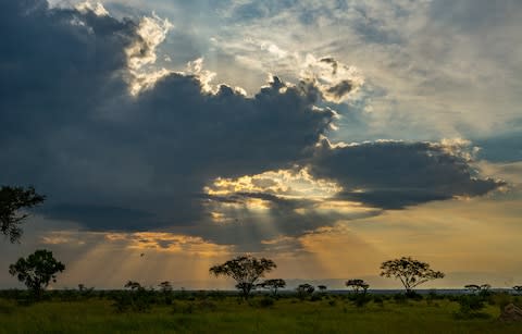 queen elizabeth national park at dusk - Credit: Getty