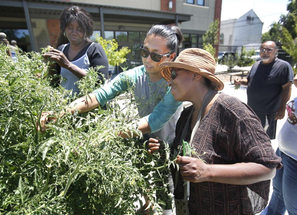 In this photo taken Tuesday, June 11, 2013 Greg Norrish, left, shows Laura Poree how to care for tomato plants during a home gardening seminar at the Sacramento Food Bank in Sacramento, Calif. Along with distributing food to low-income clients, the food bank provides seminars, soil, plants and tools for people to organically grow their own vegetables at home. Poree, who lives on her SSI income, switched to a vegan diet, and enrolled in the food banks twice weekly home gardening seminars.(AP Photo/Rich Pedroncelli)