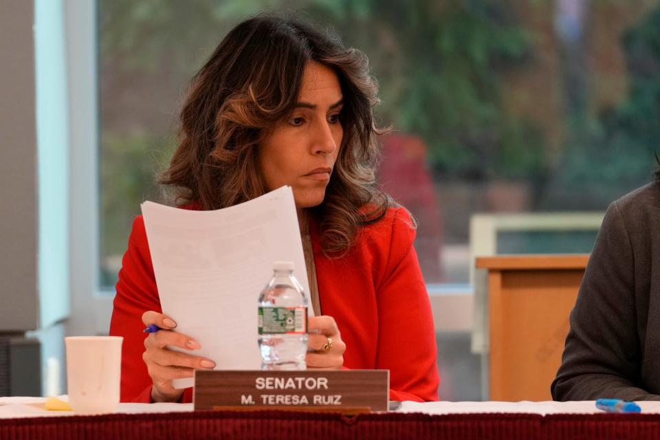 Senator Teresa Ruiz, is shown at the Senate Budge and Appropriations hearing, in Mahwah. Tuesday, March 21, 2023. Ruiz's bill to require state government agencies to provide translation services in the top 15 most spoken languages has passed in the State Senate and is now pending in the State Assembly.