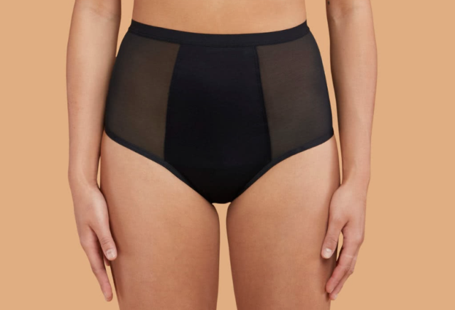 Period Bikini Briefs - Heavy Flow - Kmart