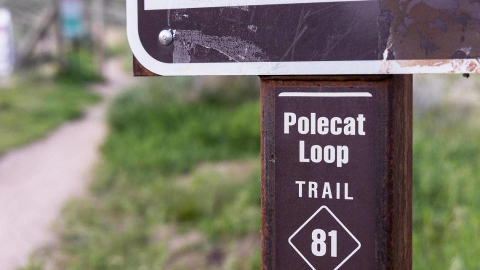 Polecat Loop is named after Polecat Gulch, but the term “polecat” usually refers to skunks or weasels.