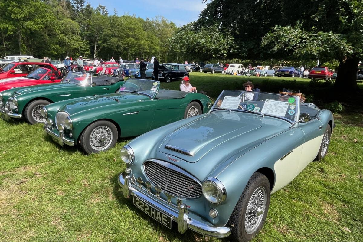 There will be hundreds of classic cars in Stody Lodge Gardens Picture: Stody Lodge Gardens <i>(Image: Stody Lodge Gardens)</i>