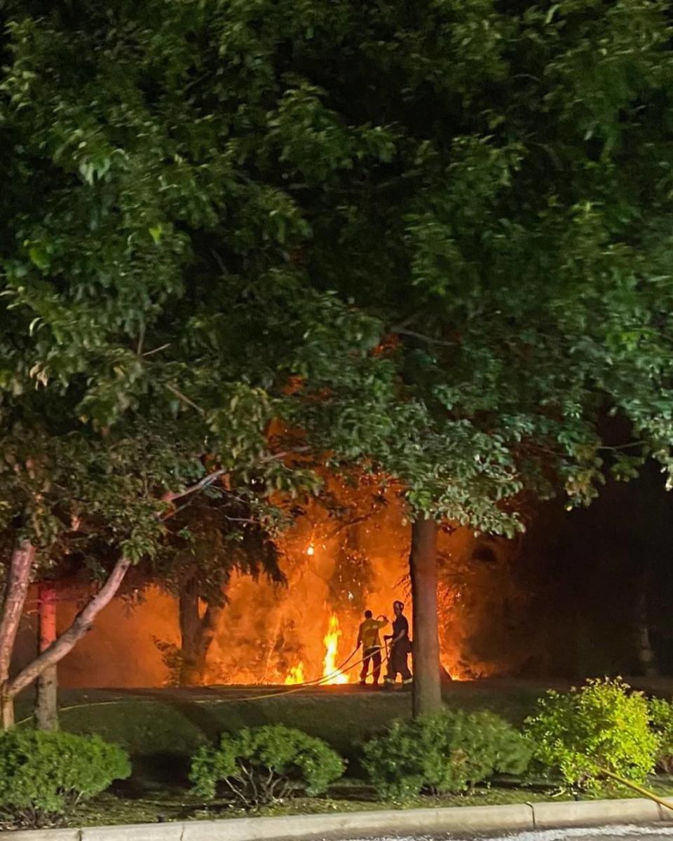 The Boise Fire Department extinguished a fire along the Boise River Greenbelt on Saturday morning after responding to “numerous” trees on fire west of 9th Street.