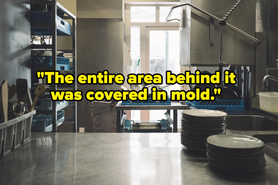 "the entire area behind it was covered in mold" over a kitchen