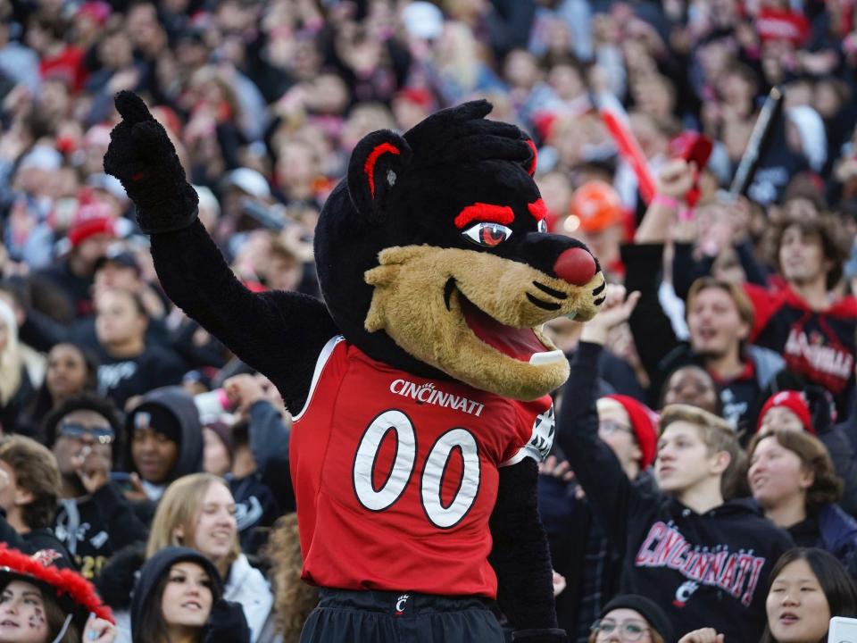 Cincinnati's bearcat mascot reacts during a game.