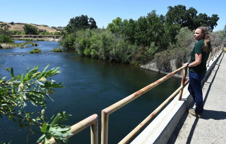 Sarah Parkes, development director of the San Joaquin River Parkway & Conservation Trust, looks out over the river, May 20, 2021, from an old gravel mining bridge that connects the trust’s land to Ledger Island on the Madera County side.