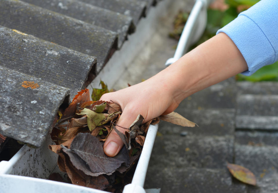 Person clearing leaves from a gutter with their hand