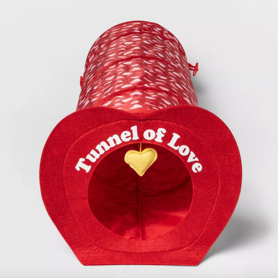 valentines day themed cat tunnel