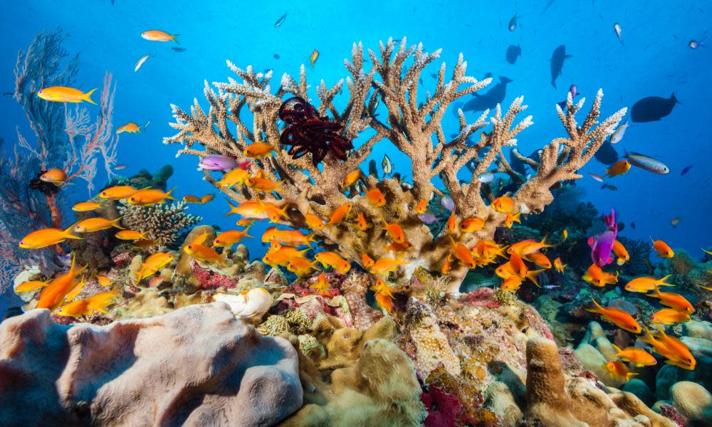 Great Barrier Reef