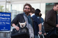 <p>Zach Galifianakis plays Ethan Tremblay. Ethan is an aspiring actor om the quirky side</p>