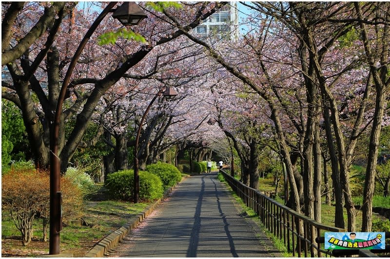 東京｜猿江恩賜公園