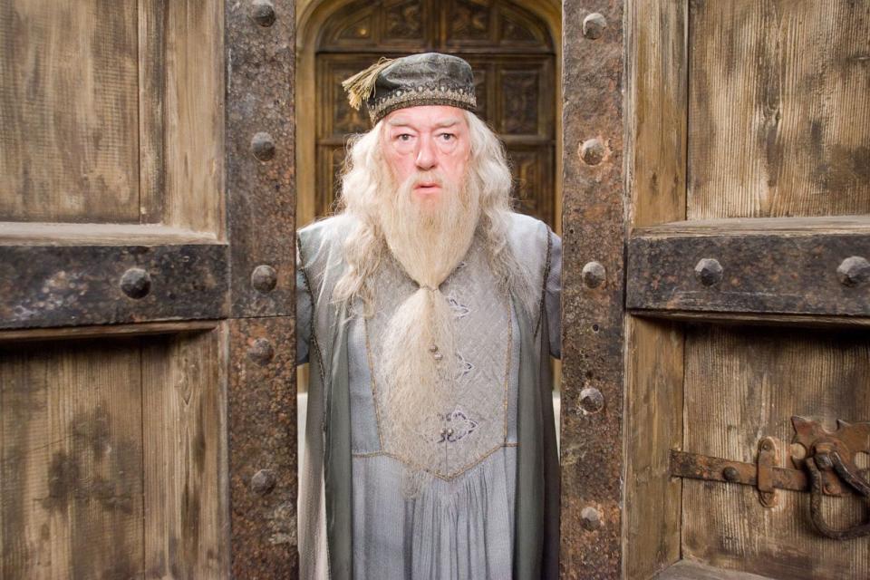 PHOTO: Michael Gambon as Albus Dumbledore in the movie, 'Harry Potter and the Order of the Phoenix.' (Murray Close/Warner Bros. Pictures)