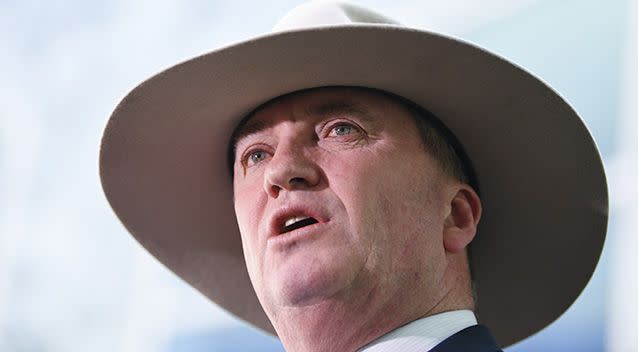 Barnaby Joyce has confirmed his relationship with former staffer Vikki Campion, who is pregnant with his child. Source: AAP