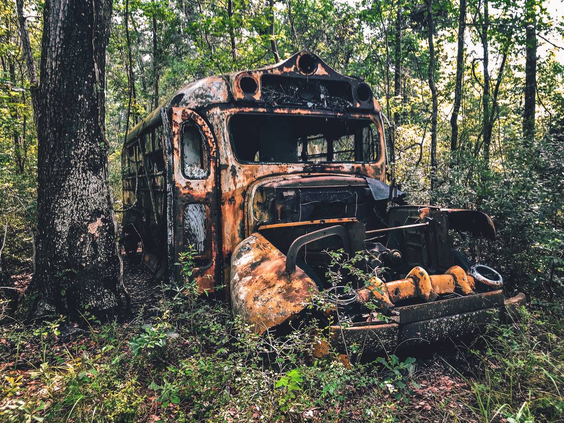 An abandoned 1952 Ford school bus sits among the live oaks along a stretch of the Edisto River near Colleton State Park. The curiosity and reminder of yesteryear is on private property but is easily viewed from the riverbank.