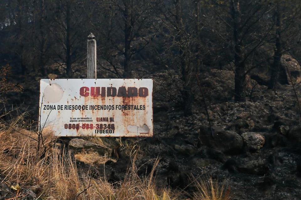 En la zona de Punilla las llamas afectaron más de 700 hectáreas en la Estancia El Rosal, en Falda del Cañete