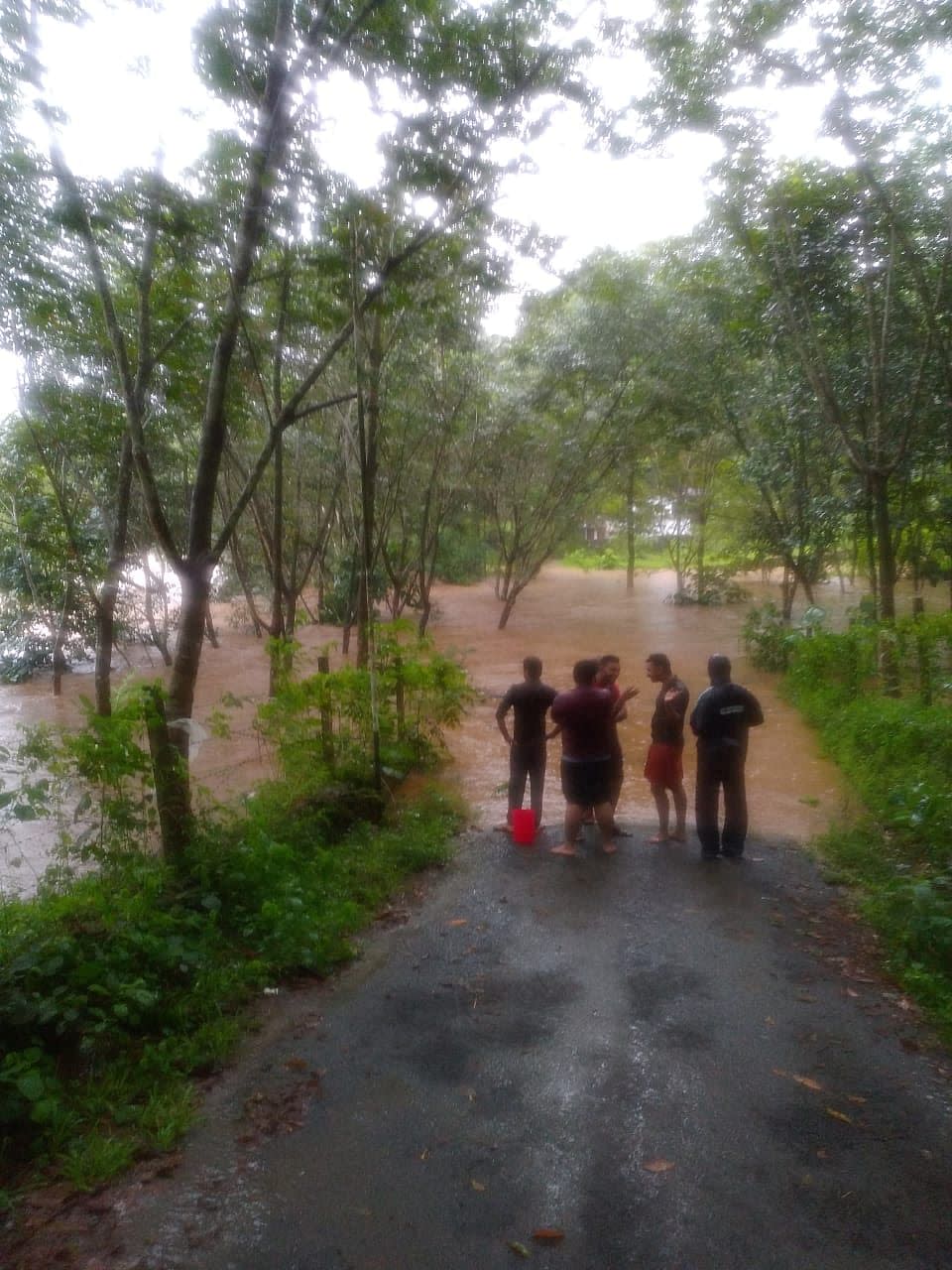 <div class="paragraphs"><p>A road in Kottayam's Chenappady town submerged in flood water.</p></div>