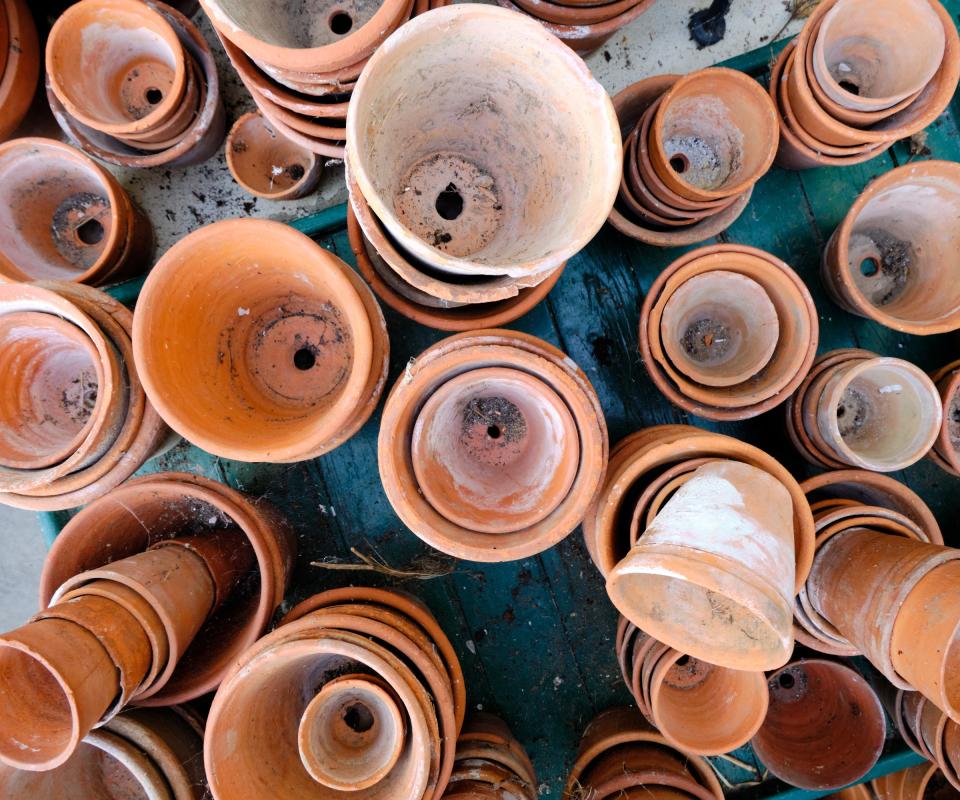 A selection of terracotta plant pots