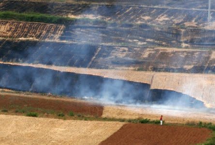 FILE PHOTO: Wheat straws are burned on a field on the outskirts of Luoyang, central China's Henan province May 27, 2007.  REUTERS/Carlf Zhang