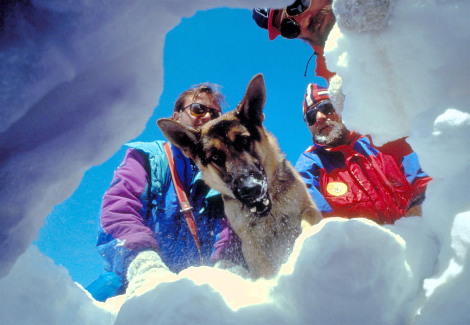 Aosta, Italy - February 28th, 1985: Three climbers and a dog on a ski slope simulate a rescue after an avalanche for a promotional photograph of tourism in the Valle d 'Aosta