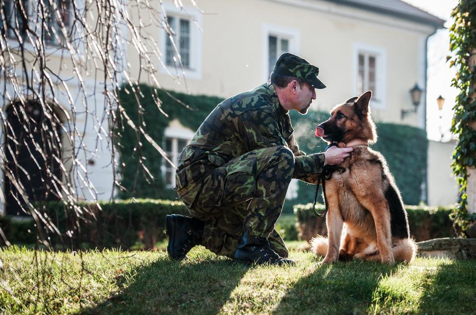 Four-year-old Czech military dog Athos who was seriously wounded in a Taliban rocket attack in Afghanistan in 2012 sits with dog handler Rostislav Bartoncik after being decorated by Czech Defence Minister Vlastimil Picek in Chotyne, Czech Republic,Tuesday, Jan. 7, 2014. Suffering life threatening injuries, Athos was first treated by U.S. military doctors in Afghanistan before he was transported to the U.S. Ramstein base in Germany. (AP Photo/CTK, Radek Petrasek) SLOVAKIA OUT