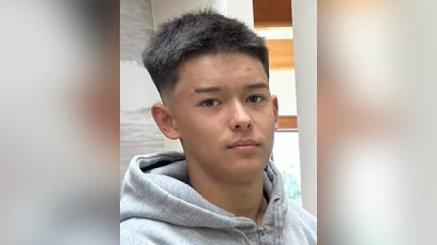 Family searching for teen, 15, missing in SoCal