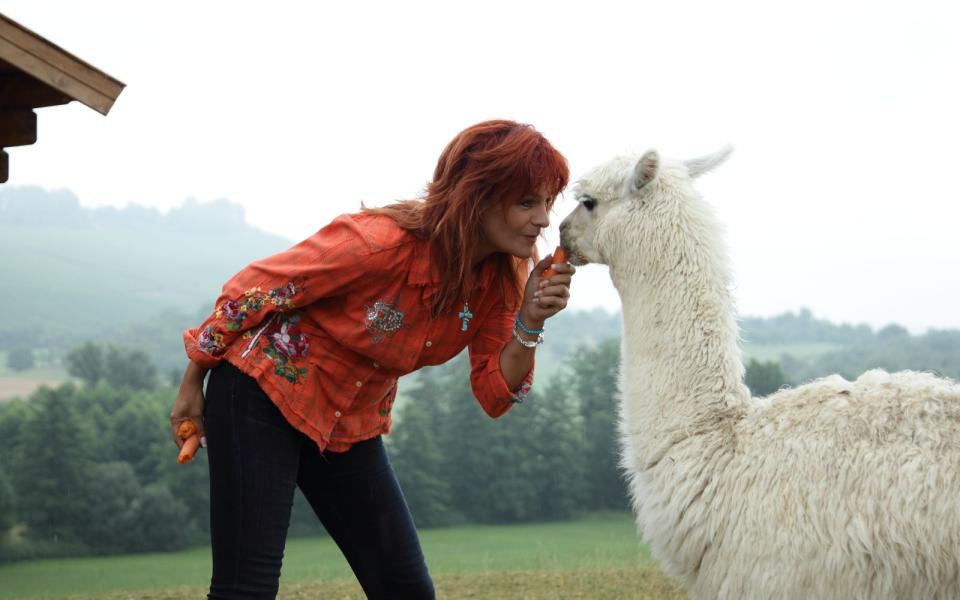 Andrea Berg (auf ihrer Alpakaranch in Aspach) ist abseits des Glamours eine Frau, die die Natur und die Tiere liebt. (Bild: Andreas Rentz/Getty Images)