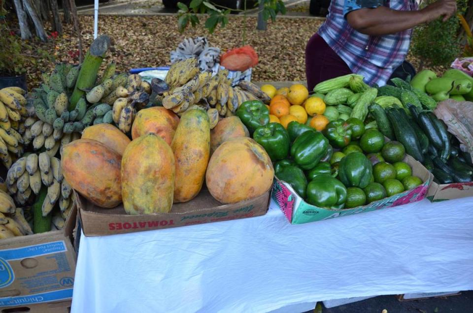 Mercado de agricultores en Pinecrest Garden.