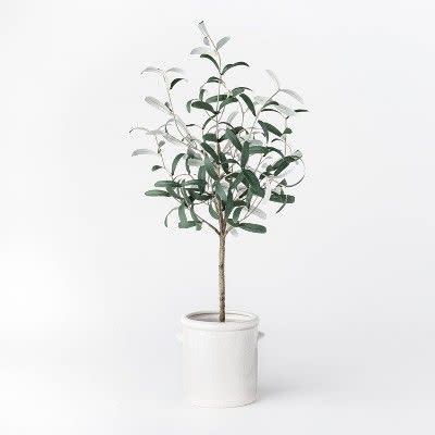 <p><strong>Threshold x Studio McGee</strong></p><p>target.com</p><p><strong>$25.00</strong></p><p><a href="https://www.target.com/p/28-5-34-artificial-olive-tree-in-pot-white-threshold-8482-designed-with-studio-mcgee/-/A-78772867" rel="nofollow noopener" target="_blank" data-ylk="slk:BUY NOW;elm:context_link;itc:0;sec:content-canvas" class="link ">BUY NOW</a></p><p>Add some low maintenance greenery to your home with this artificial olive tree. </p>