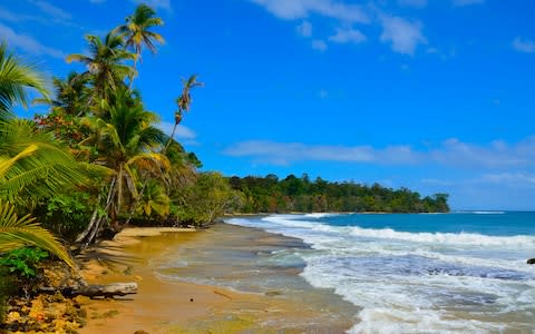 Bocas del Toro Panama - Credit: istock