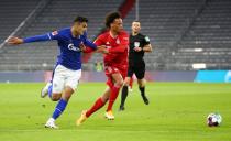 Bundesliga - Bayern Munich v Schalke 04