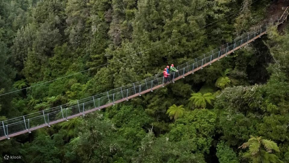 Forest Ziplining Experience in Rotorua. (Photo: Klook SG)