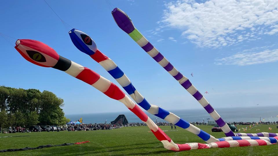 Giant inflatable snake kites on display at Bridlington