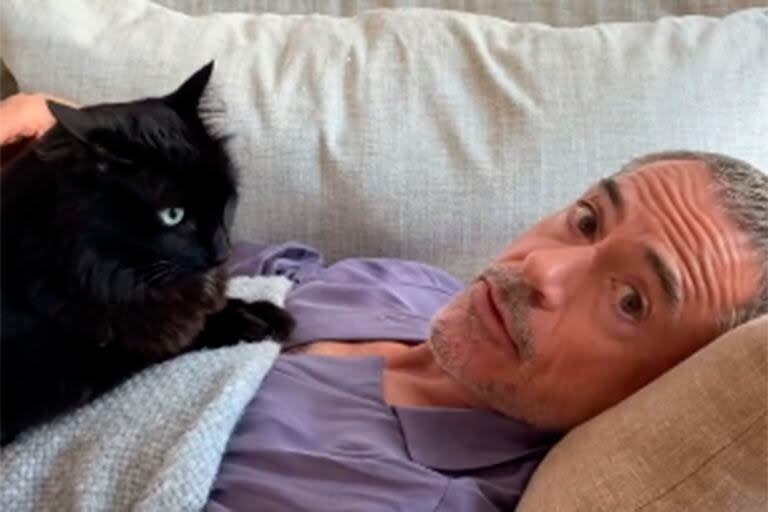 “¡Mis gatitos se lo estaban llevando e iban a meterme en problemas!”: la pesadilla de Robert Downey Jr. que su esposa interrumpió para contarle que había sido nominado al Oscar