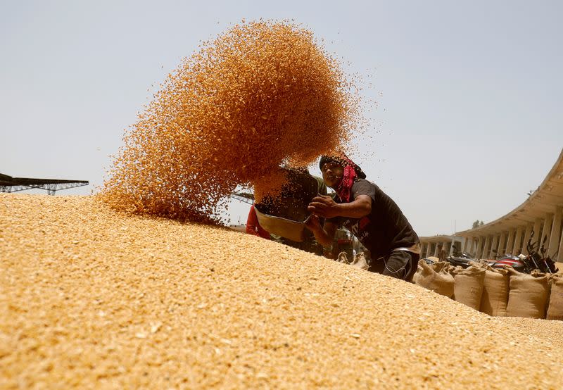 FILE PHOTO: Indian wheat prices hit 8-month high as festive demand outpaces supply