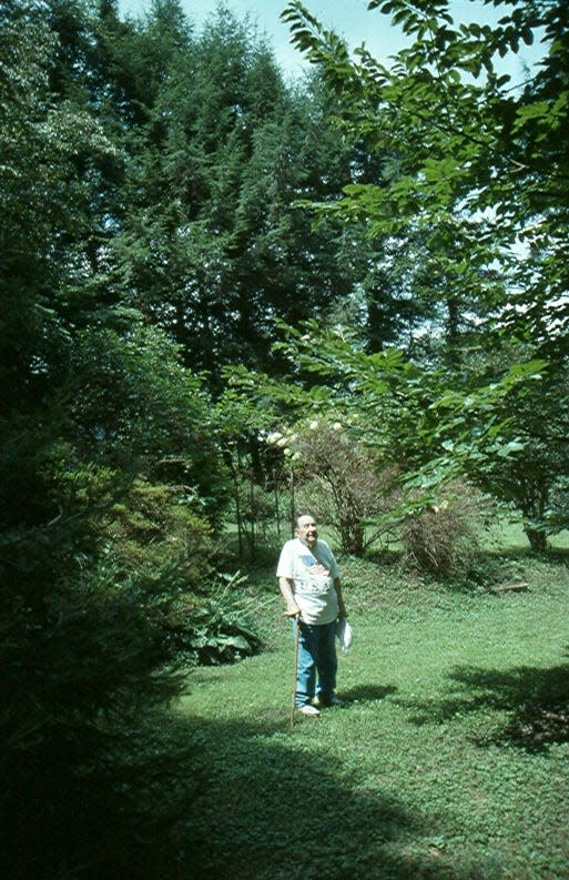 Thomas Young, retired pharmacist, stands in his Mitchell Avenue backyard bird sanctuary in 1991.