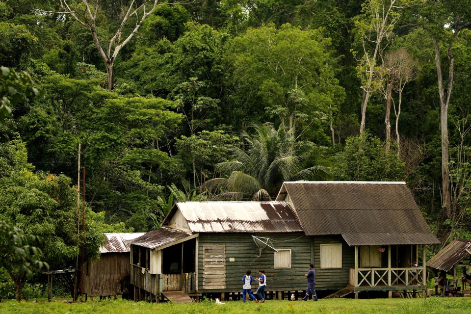 People walk near the home of a rubber tapper in the Rio Branco placement in the Chico Mendes Extractive Reserve, Acre state, Brazil, Wednesday, Dec. 7, 2022. The rubber for shoe company Veja comes from around 1,200 families from 22 local cooperatives spread across five Amazonian states: Acre, where the Chico Mendes Extractive Reserve is located, Amazonas, Rondonia, Mato Grosso, and Para. (AP Photo/Eraldo Peres)