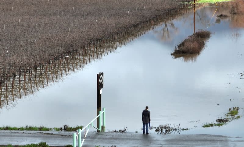 Stephanie Harvey looks out over flooded farmland following a chain of winter storms in Hopland