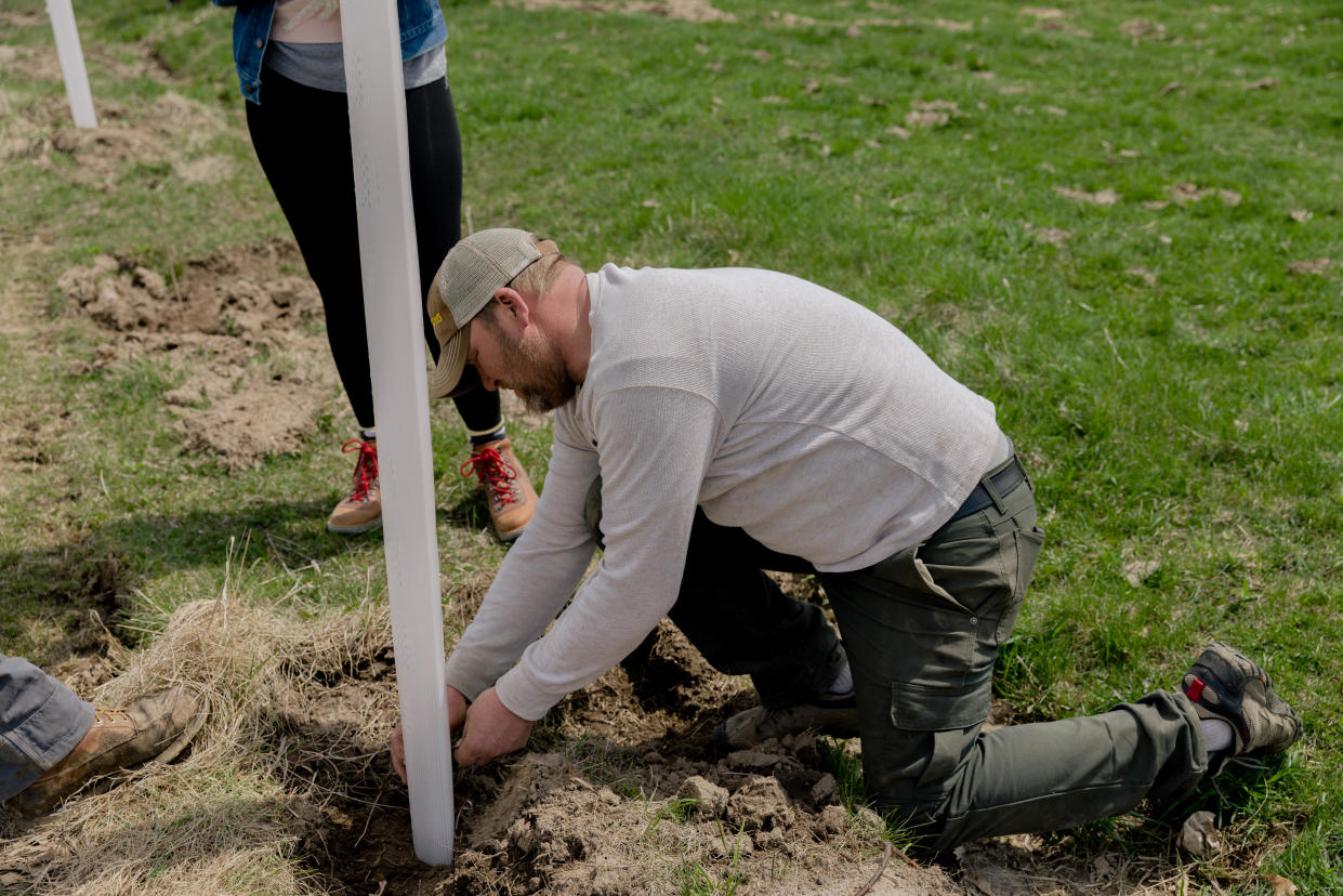 Tucker Gretebeck, an Organic Valley dairy farmer in Cashton, planted 1,200 black walnut and honey locust trees on his property in 2022. Once they grow tall enough, they'll help keep his cows cool in the summertime. Gretebeck is getting paid for the carbon that will be stored by the trees.