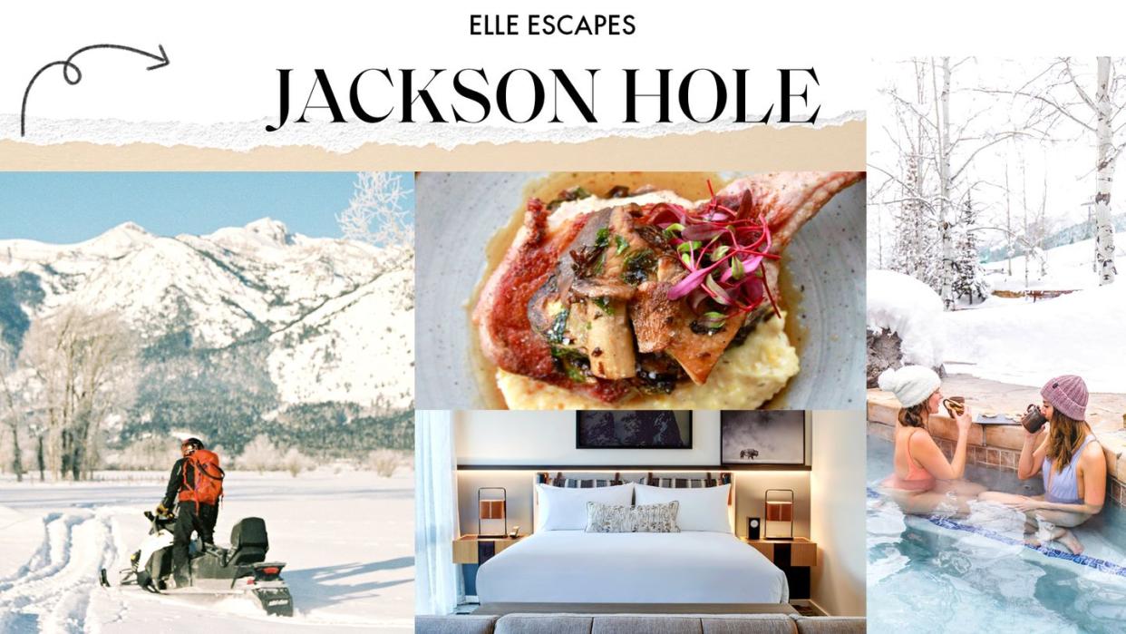 jackson hole travel guide