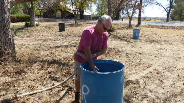 Bill Robison of Anderson fills a barrel to water trees in his orchard. Robison usually irrigates his trees with water from the Anderson-Cottonwood Irrigation District, but the agency did not supply its customers this year.