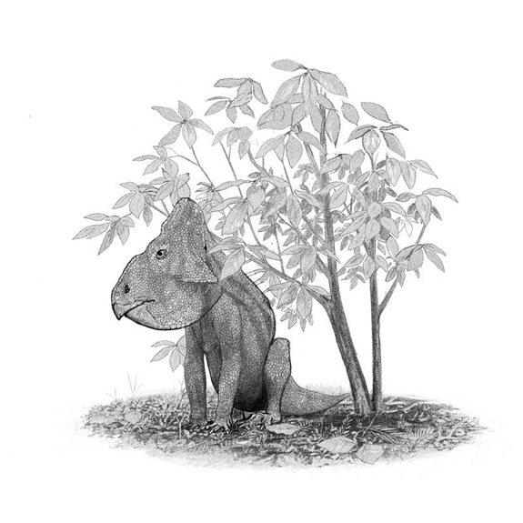 A <em>Leptoceratops gracilis</em> sits under a Magnolia tree; The Magnolia was amongst the first flowering plants to evolve, some 95 million years ago.