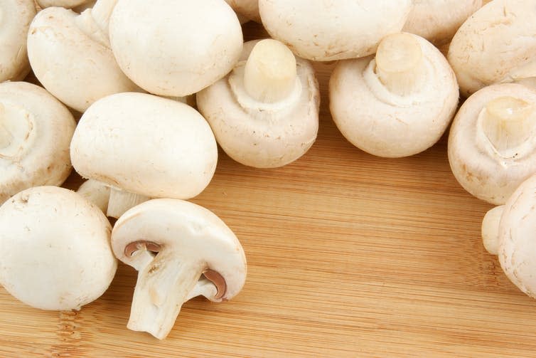 White mushrooms on wooden background.