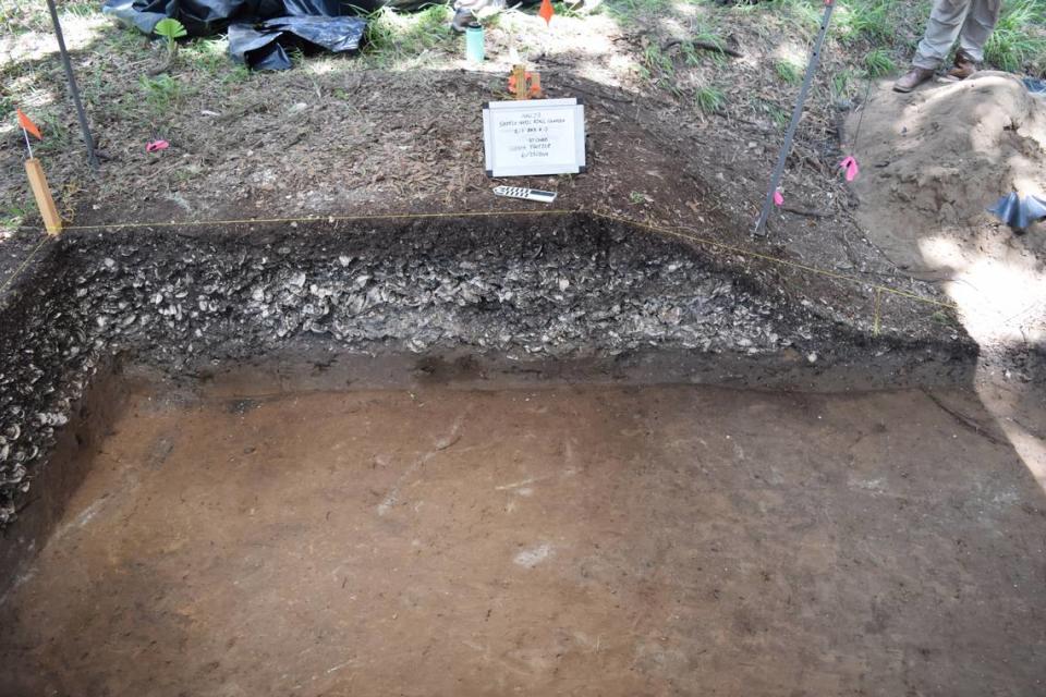 Shell ring excavation by University of Georgia. Shell deposits in the ring  (would have been the center of community life. The shells were deposited in complex ways by the Native American community that lived at the settlement.