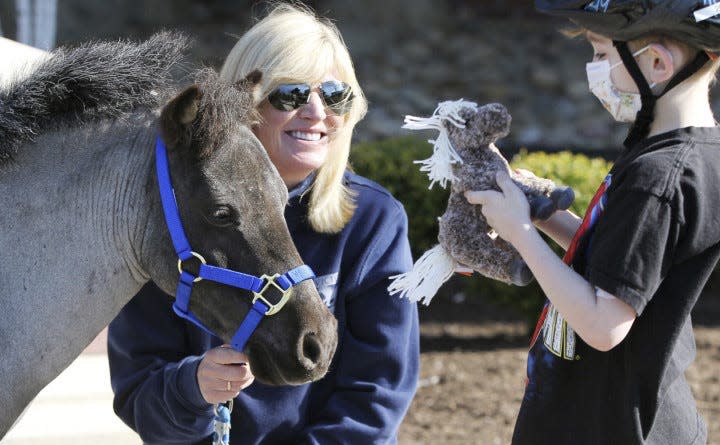 Nolan Wickland, 7, of Akron, a patient at Akron Children's Hospital, receives a toy stuffed pony from Victory Gallop volunteer Toril Simon upon meeting Willie Nelson, the miniature horse as he is handled by Simon during his debut with patients at Akron Children's Hospital Tuesday May 1, 2018 in Akron, Ohio. (Karen Schiely/Beacon Journal)