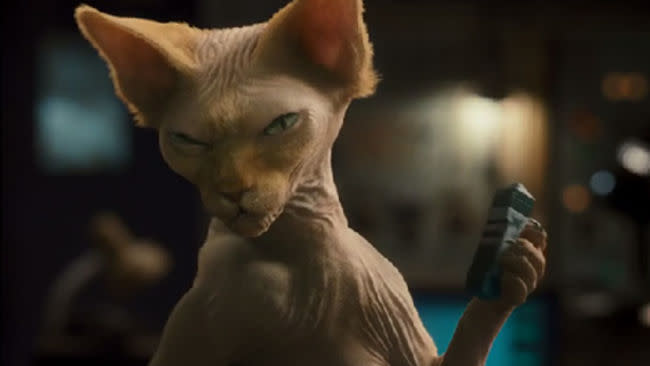 <p> <strong>The Cat:</strong> A hairless cat, posing as a puppy in her role as an undercover spy for the cats. Voiced by Bette Midler, shes a nasty piece of work </p> <p> <strong>If It Was A Dog:</strong> She could pose as a hairless cat, and spy for the other team. Simple. </p>