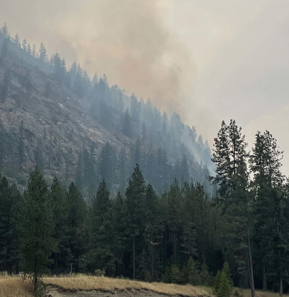 Smoke rises from the forest from active fire. 