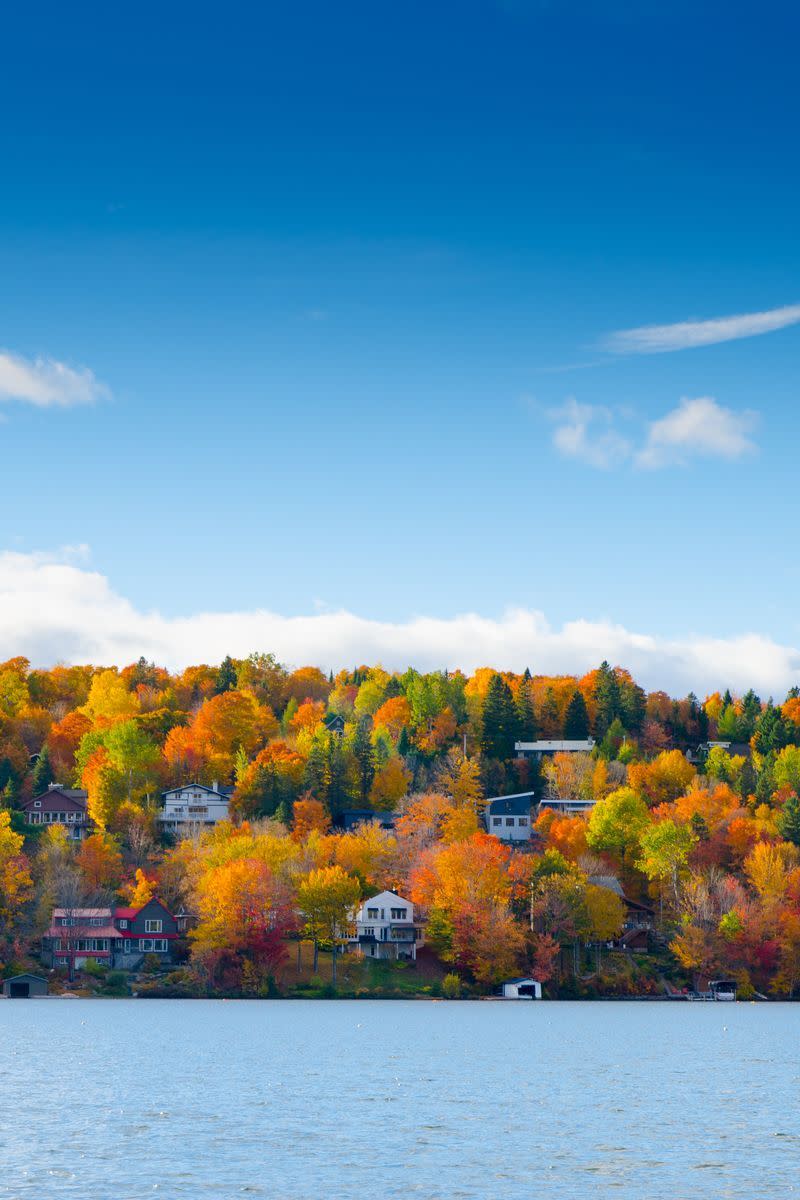 Fall leaf colors are present year-round.