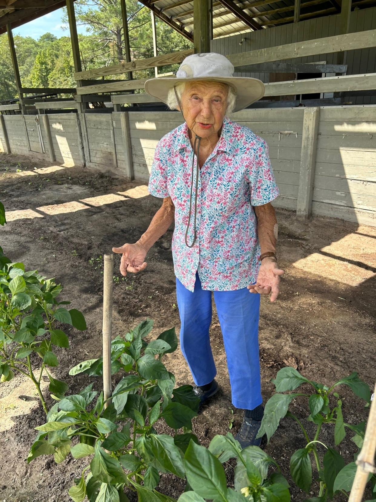 Shirley Daughtry has been farming organically since the mid-1980s.