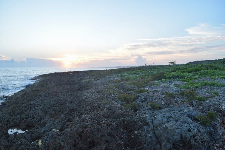 <span class="caption">The coast in Cuba where Columbus arrived in 1492.</span> <span class="attribution"><a class="link " href="https://www.shutterstock.com/image-photo/wild-cuban-coast-place-arrival-christopher-1237742905?src=CtcJoMsFJPQBwg53Ox6a-w-1-41" rel="nofollow noopener" target="_blank" data-ylk="slk:Authentic Travel/Shutterstock;elm:context_link;itc:0;sec:content-canvas">Authentic Travel/Shutterstock</a></span>