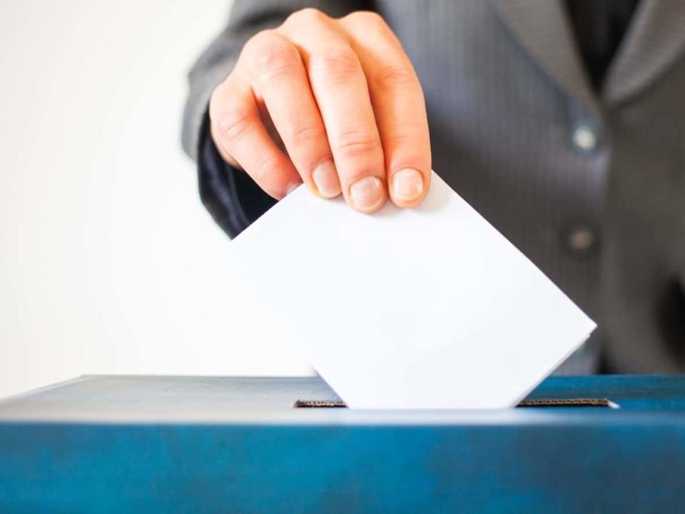 The county council is expected to set a date for the byelection on Thursday. (Melinda Nagy/Shutterstock - image credit)